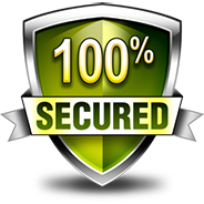 Secure Payment Logo